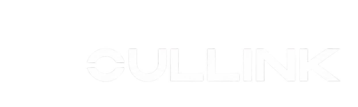 SoulLink Logo